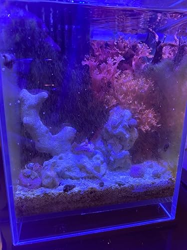 Amazon.co.jp: 水槽ライト 海水魚 サンゴ水槽LED照明 18 Watt フル